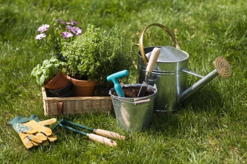 Expert trimming and edging on a residential lawn.