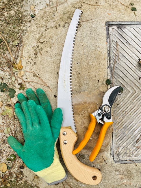 Close-up of a person wearing black gloves using a pair of small pruning shears to trim thin, woody branches of shrubs in a garden. The branches are bare, indicating late winter or early spring, with a