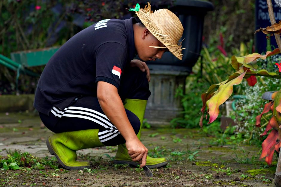 A person dressed in a black t-shirt, black and white striped athletic pants, and bright green waterproof boots is crouched down on a garden pathway, carefully removing a weed from the soil with a smal